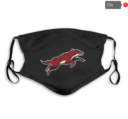 NHL Arizona Coyotes #4 Dust mask with filter->nhl dust mask->Sports Accessory